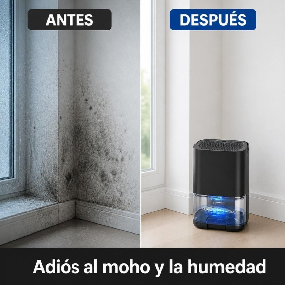 Antes y después: adiós al moho y la humedad