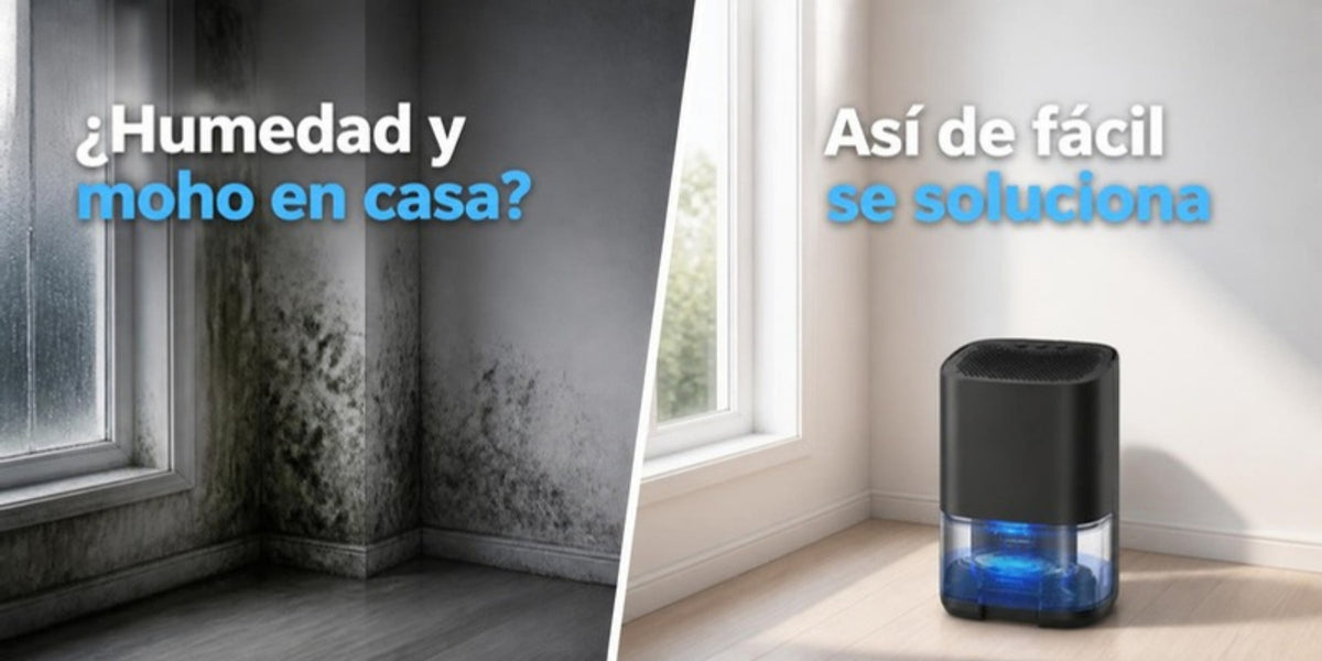 Banner deshumidificador 2 - Humedad y moho en casa